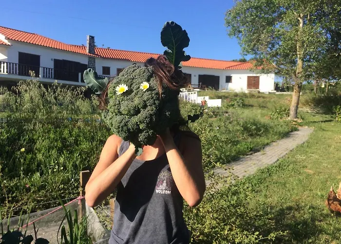 Elemental - Surf * Ericeira