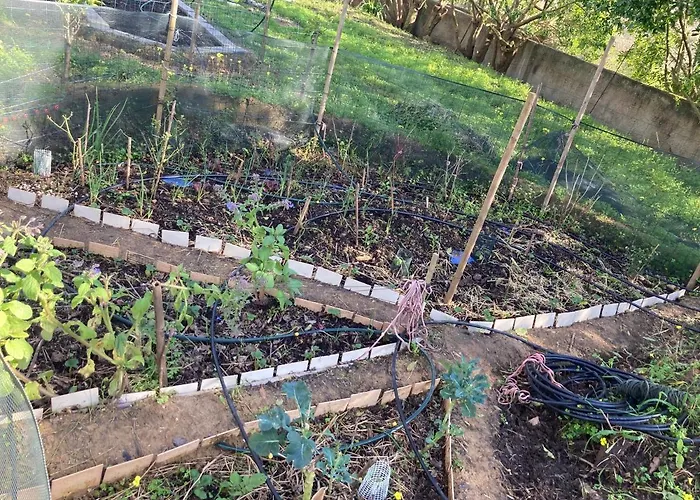 Elemental - Surf Vila