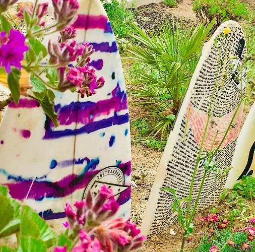 Vila Elemental - Surf